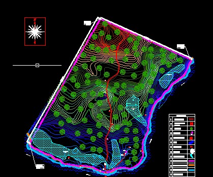 Topographical Survey